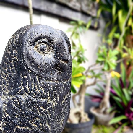 Panda Lumbung Bed & Breakfast Sanur Dış mekan fotoğraf