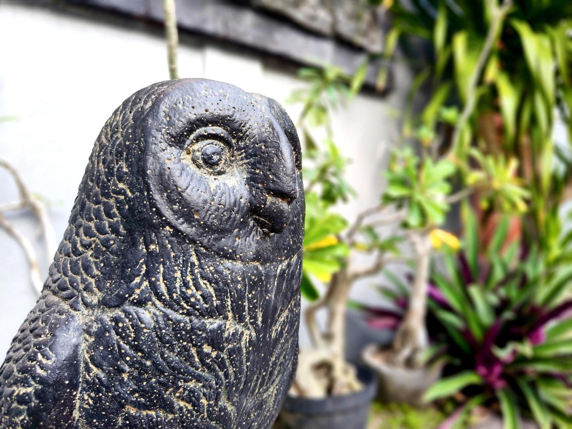 Panda Lumbung Bed & Breakfast Sanur Dış mekan fotoğraf