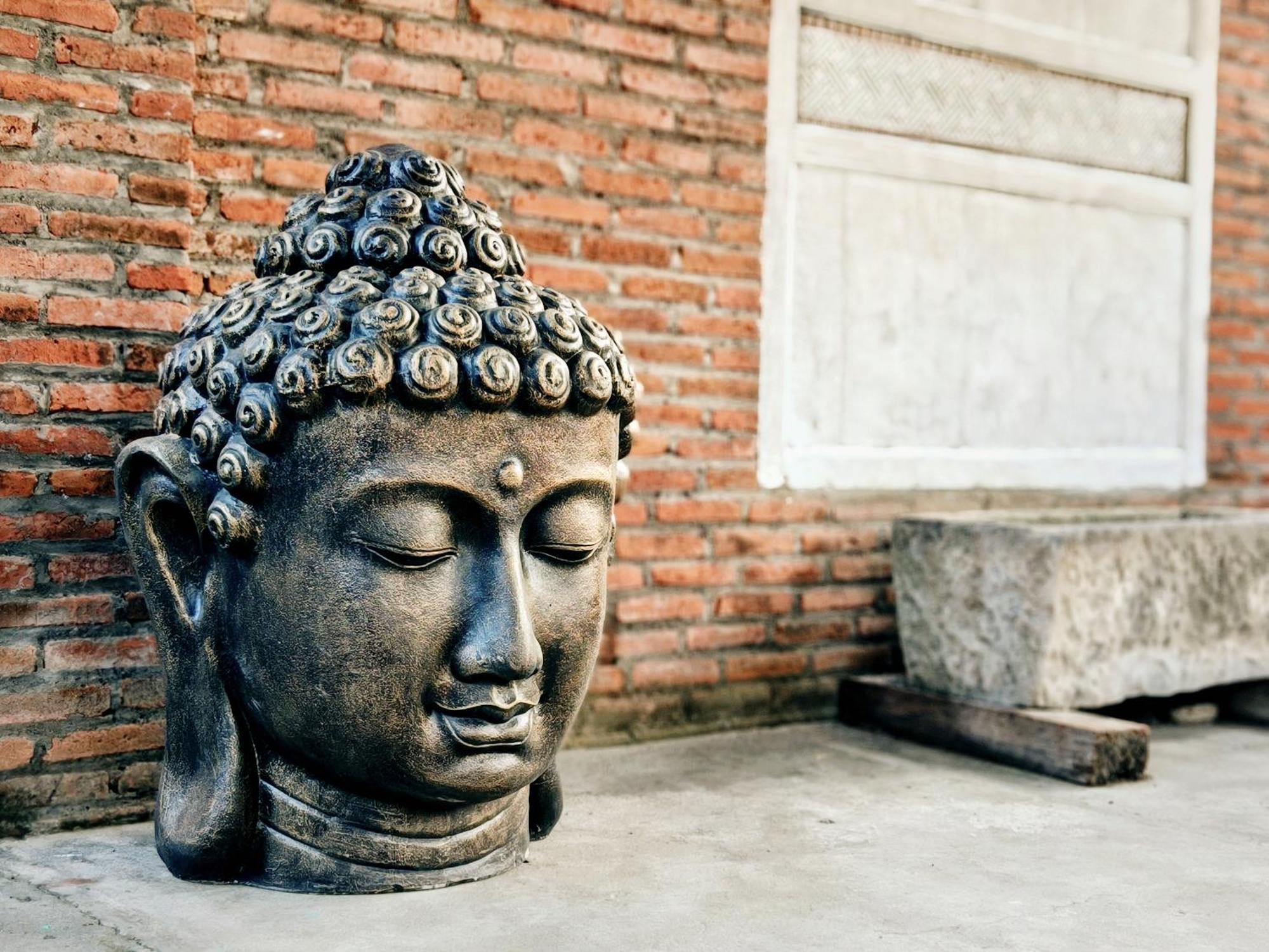 Panda Lumbung Bed & Breakfast Sanur Dış mekan fotoğraf